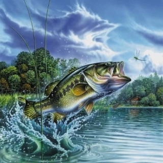 Diamantové malování - Rybolov (50 x 50)